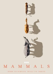 Mammals (2024)