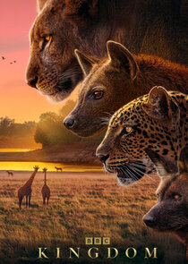 Kingdom (2025)