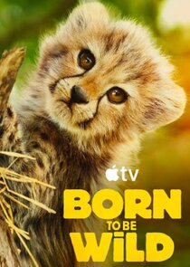 Born to Be Wild