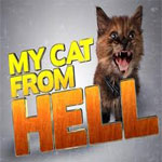 My Cat From Hell