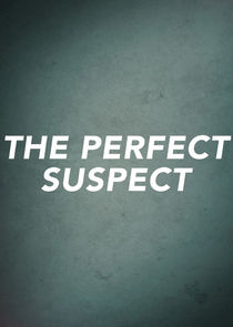 The Perfect Suspect