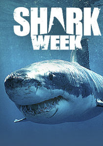 Shark Week