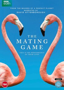 DThe Mating Game