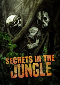 Secrets in the Jungle