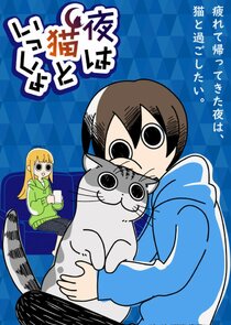 Nights with a Cat